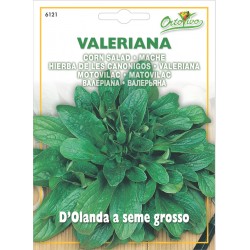 Hortus Ortovivo Semi di Valeriana D'Olanda a Seme Grosso