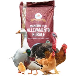 PROGEO GRAN NATURA - Mangime complementare per polli da 10 kg
