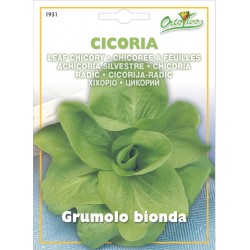 Hortus Ortovivo - semi di Cicoria grumolo bionda
