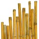 Canna di Bamboo h 2400 x Ø 22-24 mm